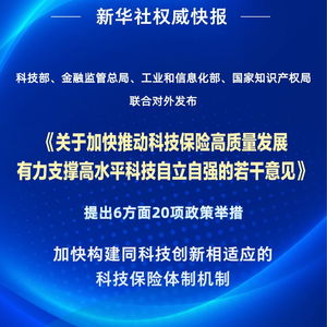 四部門聯合發力，以二十項舉措推動科技保險高質量發展——信息技術咨詢服務迎來新契機